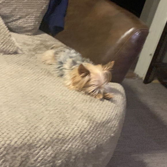 Meet your Posher, Christopher - Picture 7 of 10